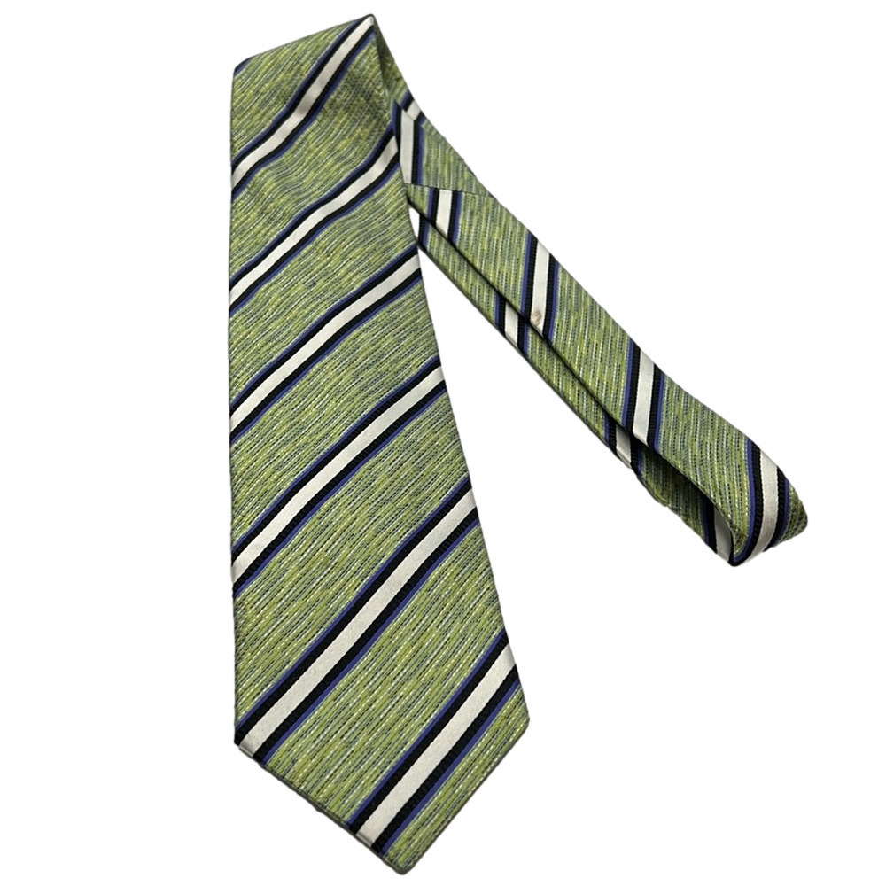 Pavone Made in Italy Men's 100% Silk Classic Tie